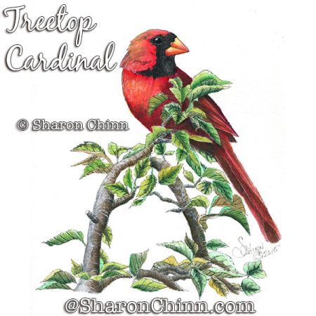 Treetop Perch Cardinal Pen and Ink Painting Pattern - Sharon Chinn