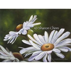 Oops-a-Daisy! Painting Pattern - Sharon Chinn